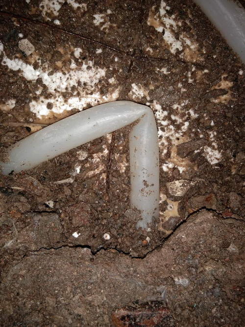 营山堵点精准查找